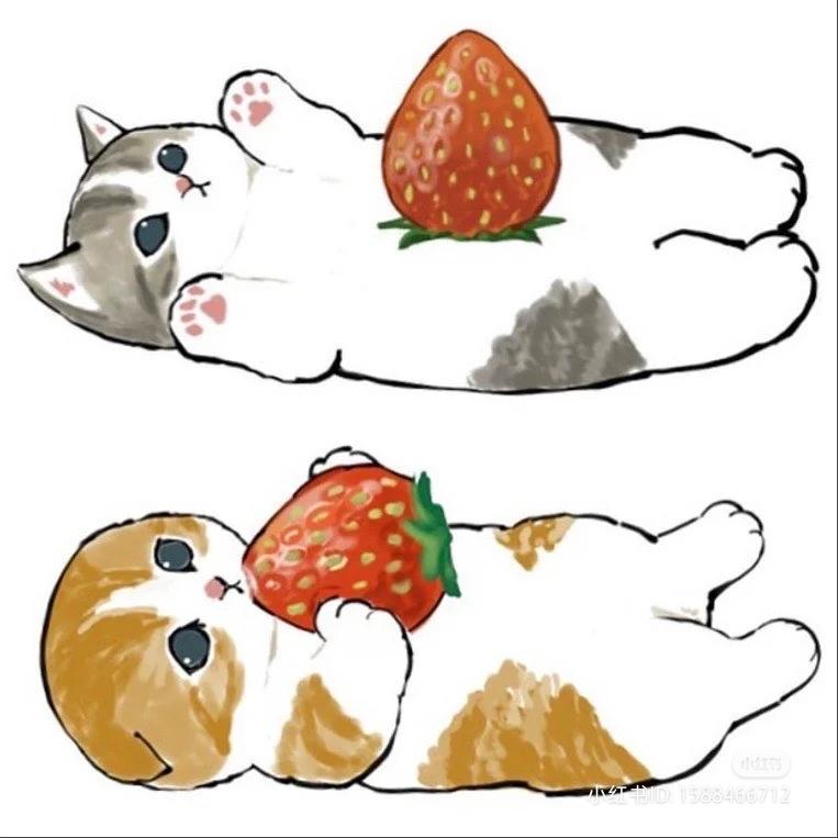 🦌🎂 on Twitter "RT lovesickdoe strawberry cats"