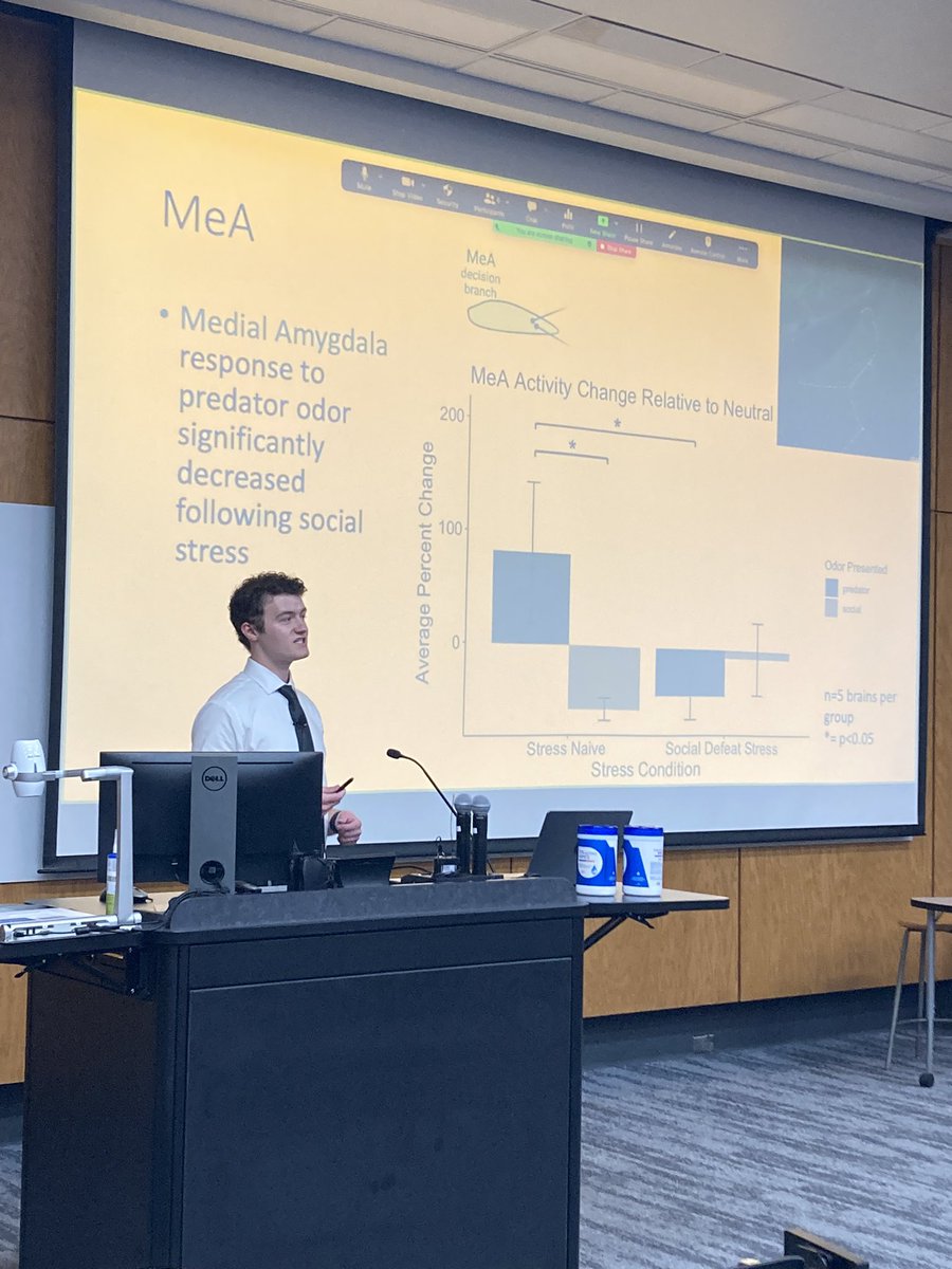 Real Vole Facts tweet media