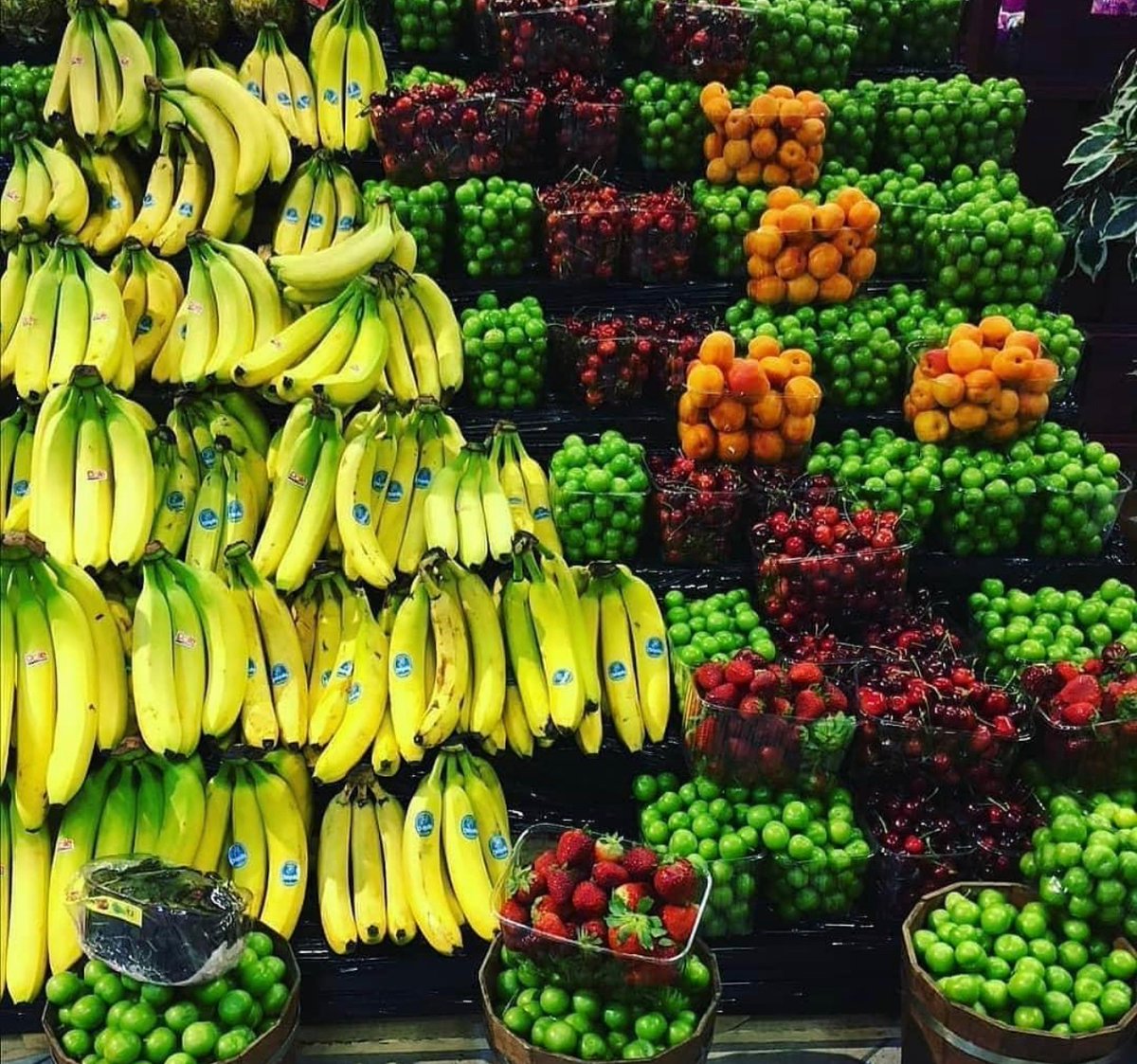 HungryAI_App's tweet photo. Calling all fruit lovers ! Which one are you starting with ?
#fruits #FruitLovers #FruitOfTheDay #HealthyEating #FreshFruit #FruitSalad #JuicyFruit #TropicalFruits #SeasonalFruit #FruitObsession #FruitAddict https://t.co/L47ru1Aj2s