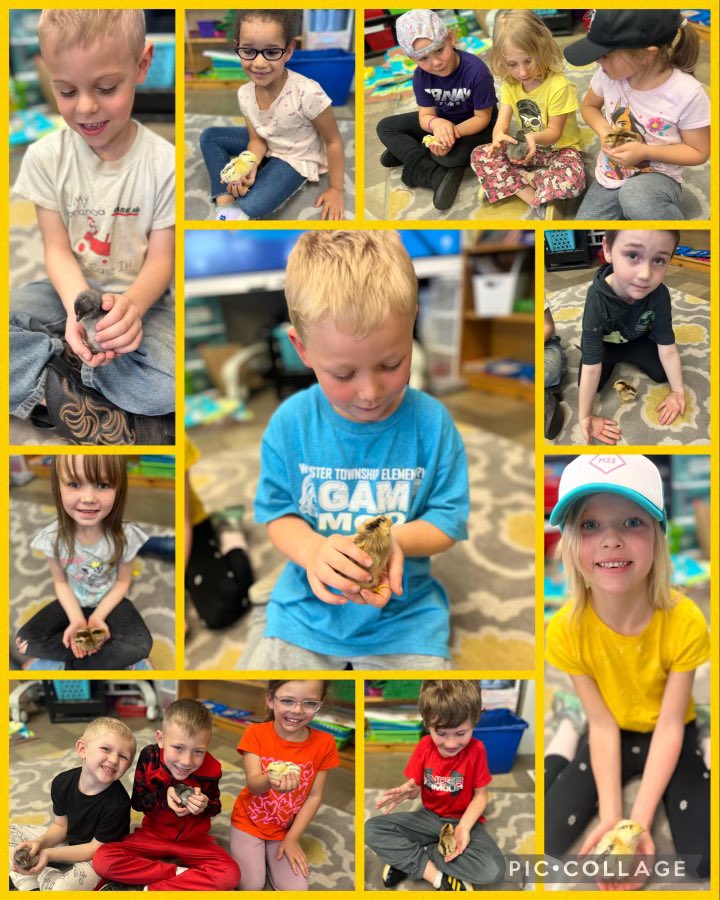 WTSelementary tweet media