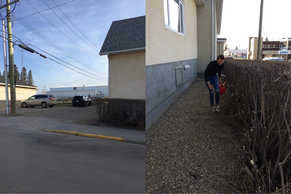 YukonStrong's tweet photo. Here's one of the #antifa church arsonists in Barrhead. Let's make her famous folks. She's from Camrose apparently.

#ABWildfire #Arson #AlbertaWildfires #Alberta #ABPoli

https://t.co/UPXfzMaU3G https://t.co/zWkm5trQ8b