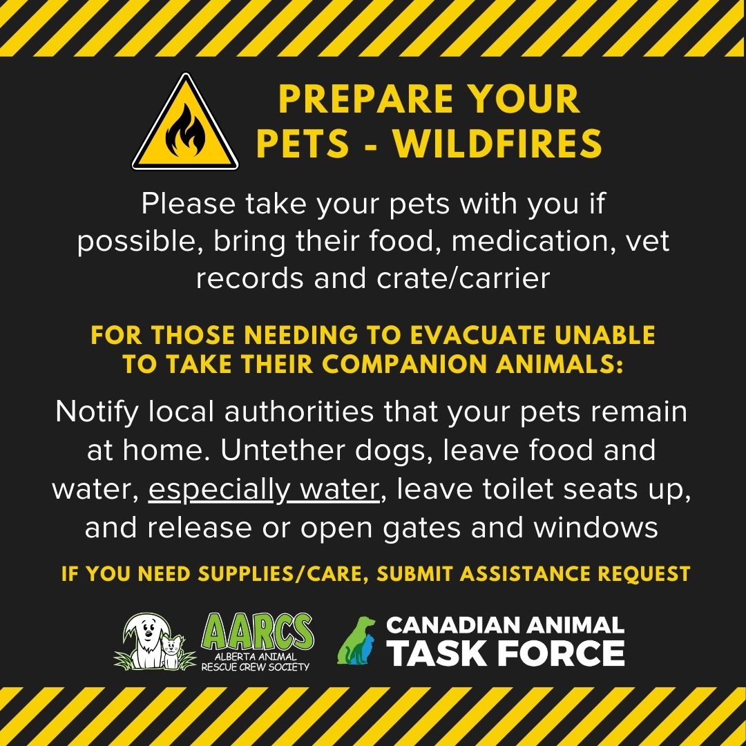 For those that have been displaced due to fires &amp; find themselves needing supplies or support, please fill out our assistance request form 💚💙
LINK 🔗 forms.gle/PhekMtczDDPbPd…