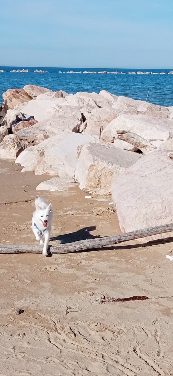 Passeggiata in spiaggia 💙