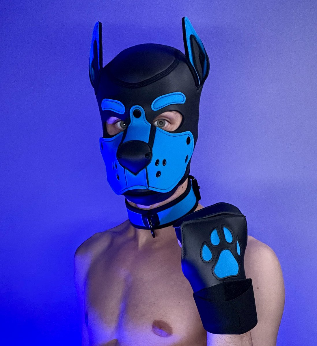 Fvdp PupBalder🐾 (@PupBalder) / Posts / X