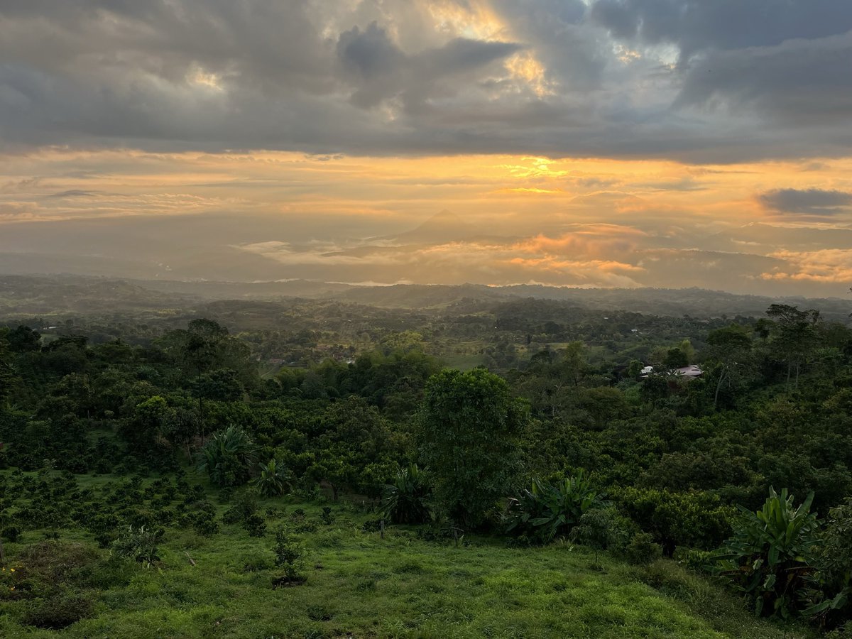 El Suroeste antioqueño es tierra fértil para un desarrollo regenerativo ¿Qué tal si para transitar a un Distrito Agroecológico y turístico, ordenado alrededor del agua, activamos APPs y obras por impuestos? #VisiónSuroeste
