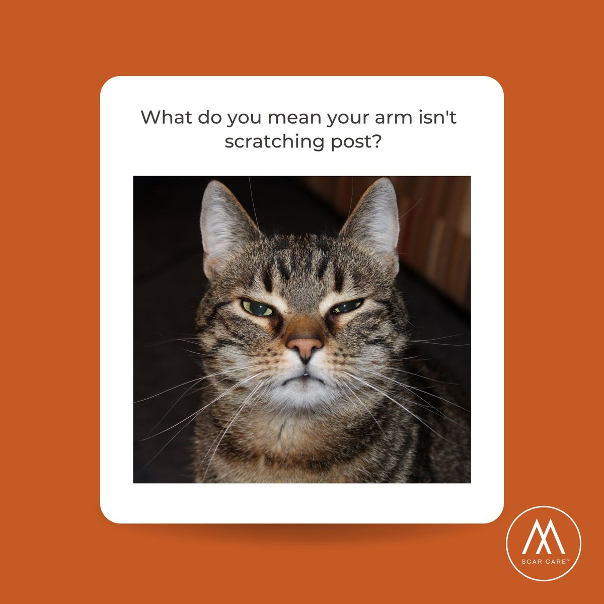 What do you mean your arm isn't a scratching post? 😹 We sure do love our furry friends, but sometimes their claws can leave us with unwanted marks. Don't worry though, our scar cream can help ensure those marks don't last forever! 😉👌 #CatHumor #ScratchMarks #ScarCare