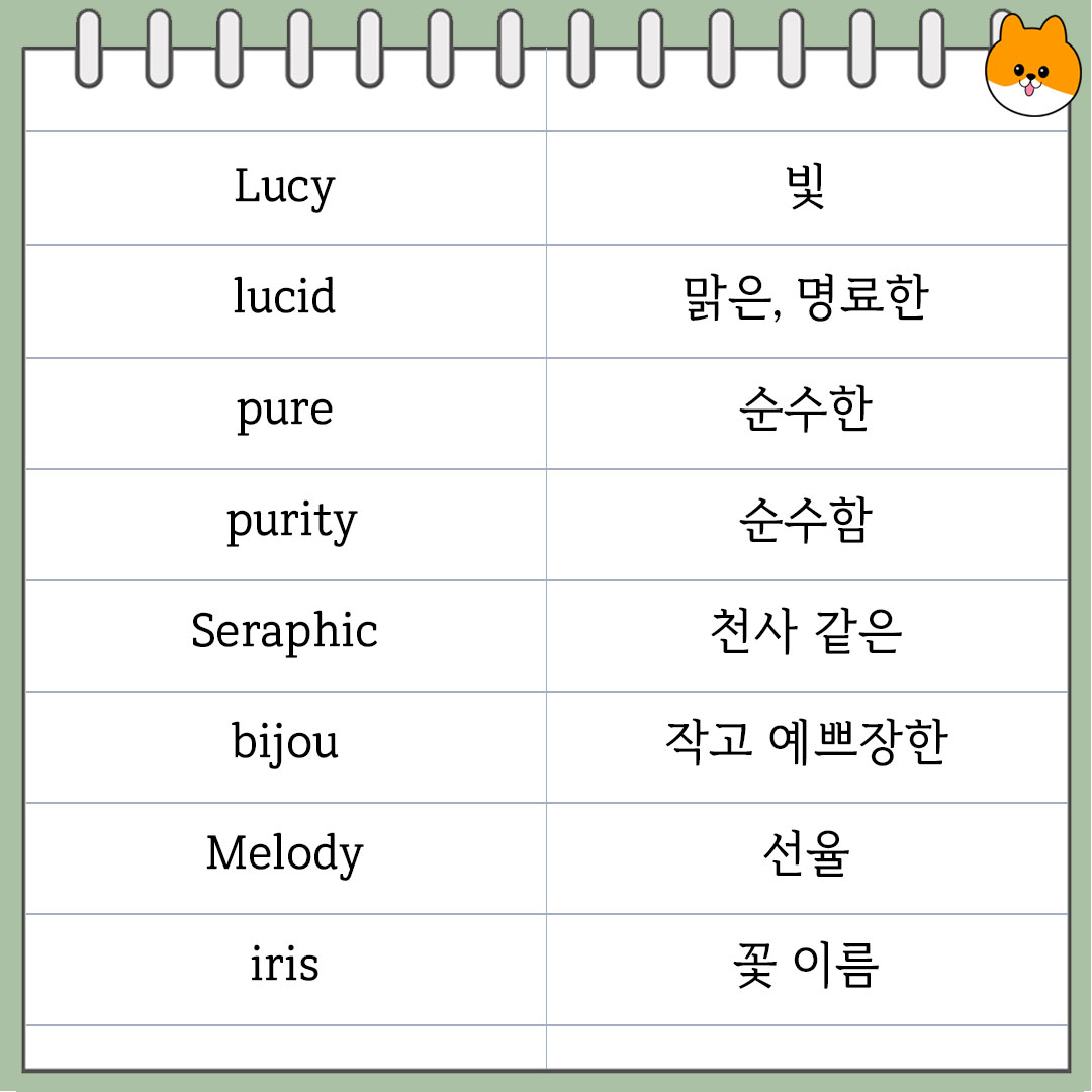 자취생을 위한 레시피 tweet media