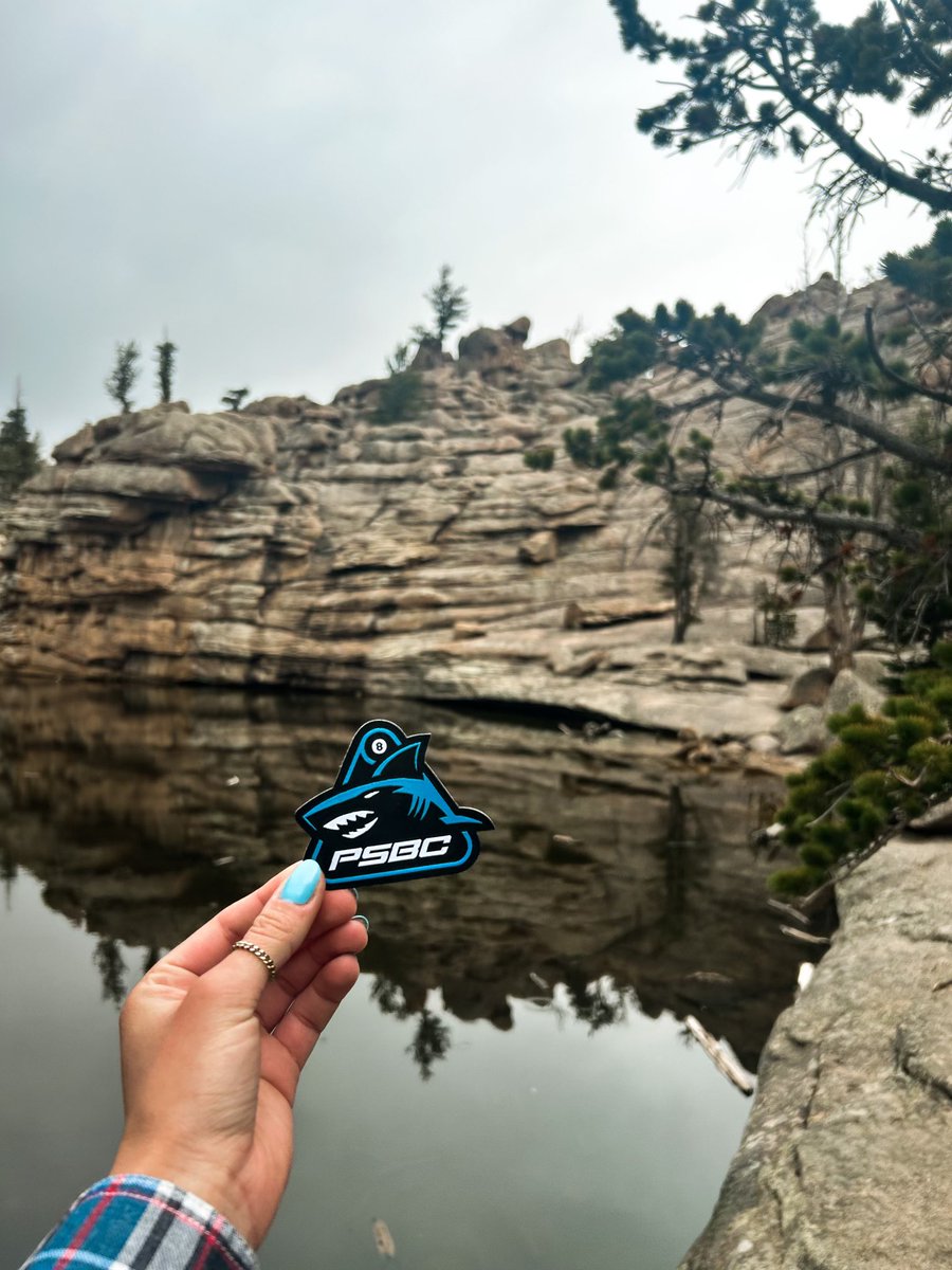 GM from the Rocky Mountains 🦈🌄