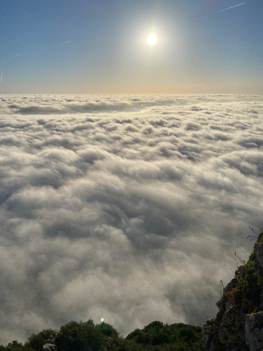 LilliHawki38840's tweet photo. Yesterday mornings views of our stairway to heaven on earth #Gibraltar @MeteoGib @GibReserve https://t.co/9jzblS5jep