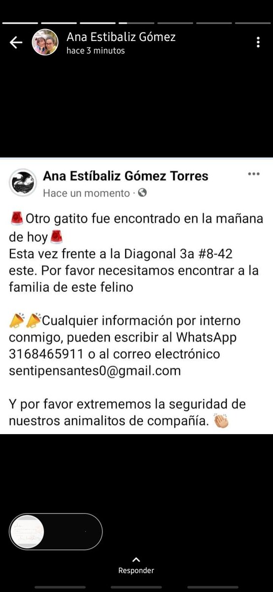 lila__015's tweet photo. Otro caso el día de hoy. Qué más tiene que suceder para que entendamos que detrás del asesinato de estos animalitos también hay un peligro para tod@s? La cifra de gatos asesinados va en aumento y hasta el momento no ha pasado nada @andreanimalidad @AnimalesBOG @FiscaliaCol https://t.co/gc7YbdeIi5
