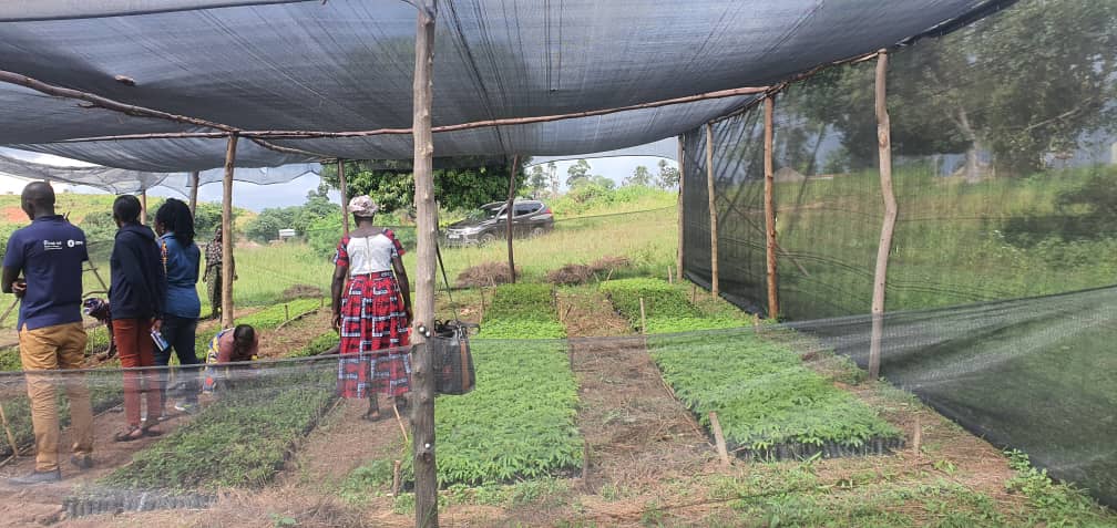OxfaminUganda's tweet photo. Staff across the various departments stepped out to learn from some of the climate resilient Agriculture approaches applied in both rural & urban farming. They visited the @KCCAUG demonstration site & some of the Oxfam-partner supported farmers in Nebbi and Zombo #LearnGrow https://t.co/VKJnh8hCGJ