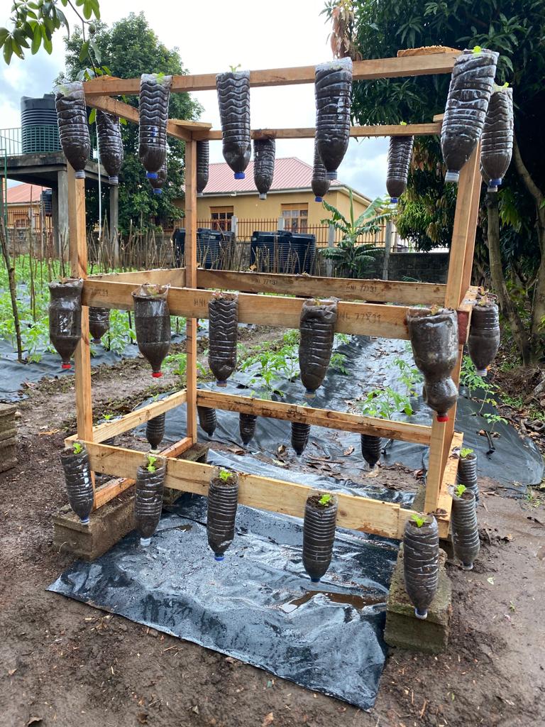 OxfaminUganda's tweet photo. Staff across the various departments stepped out to learn from some of the climate resilient Agriculture approaches applied in both rural & urban farming. They visited the @KCCAUG demonstration site & some of the Oxfam-partner supported farmers in Nebbi and Zombo #LearnGrow https://t.co/VKJnh8hCGJ