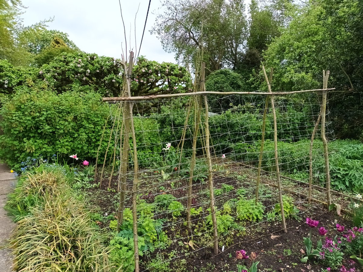 YMT_Steve's tweet photo. Wonderful visit to Stillingfleet Lodge today to see their beautifully and sympathetically crafted series of garden spaces full of interesting plants. Sustainable and wildlife-friendly gardening at its best. Well worth a visit any time of the year! 

@SLgardens @yorkmuseumstrust https://t.co/NT3Lzi8QAT
