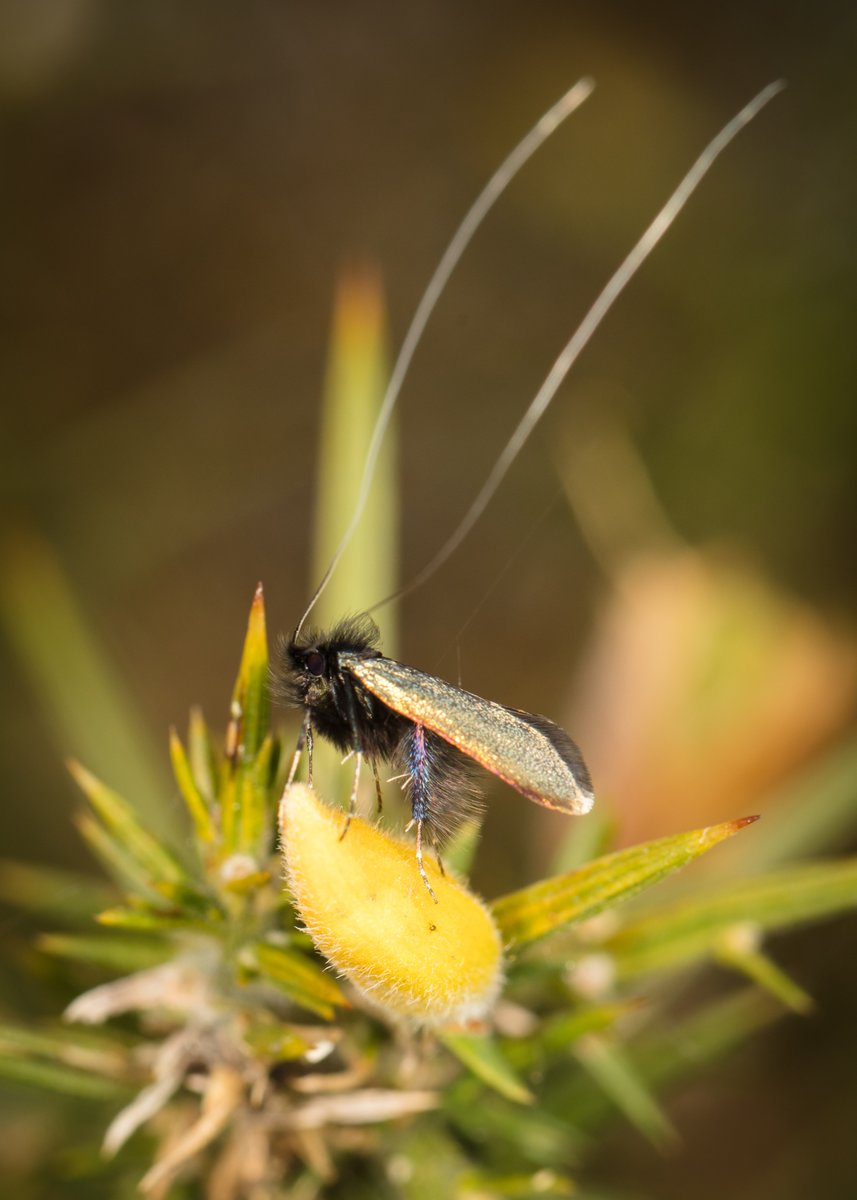 Martin Taylor tweet media