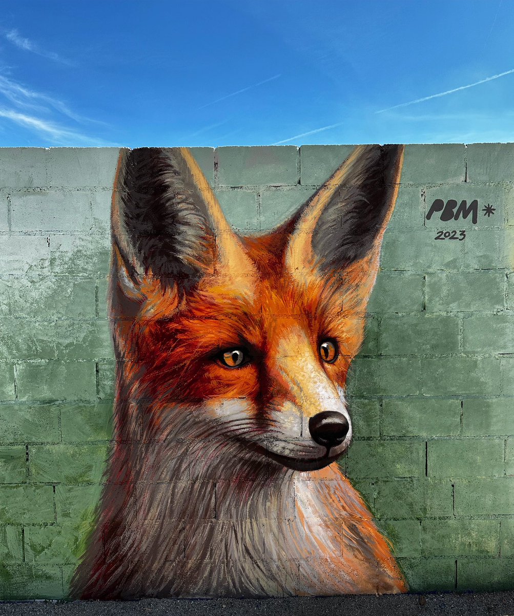 Streetart_BCN's tweet photo. Street art in Barcelona by Pere Blanco Molina #streetart #urbanart #graffiti #muralart #mural #art #fox https://t.co/ldrmdr58Ac