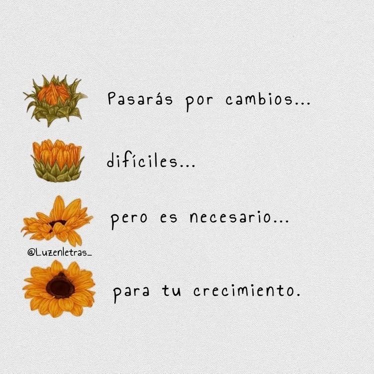 Lindo día 🌞