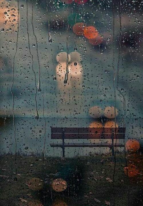 🌧💜 tweet media