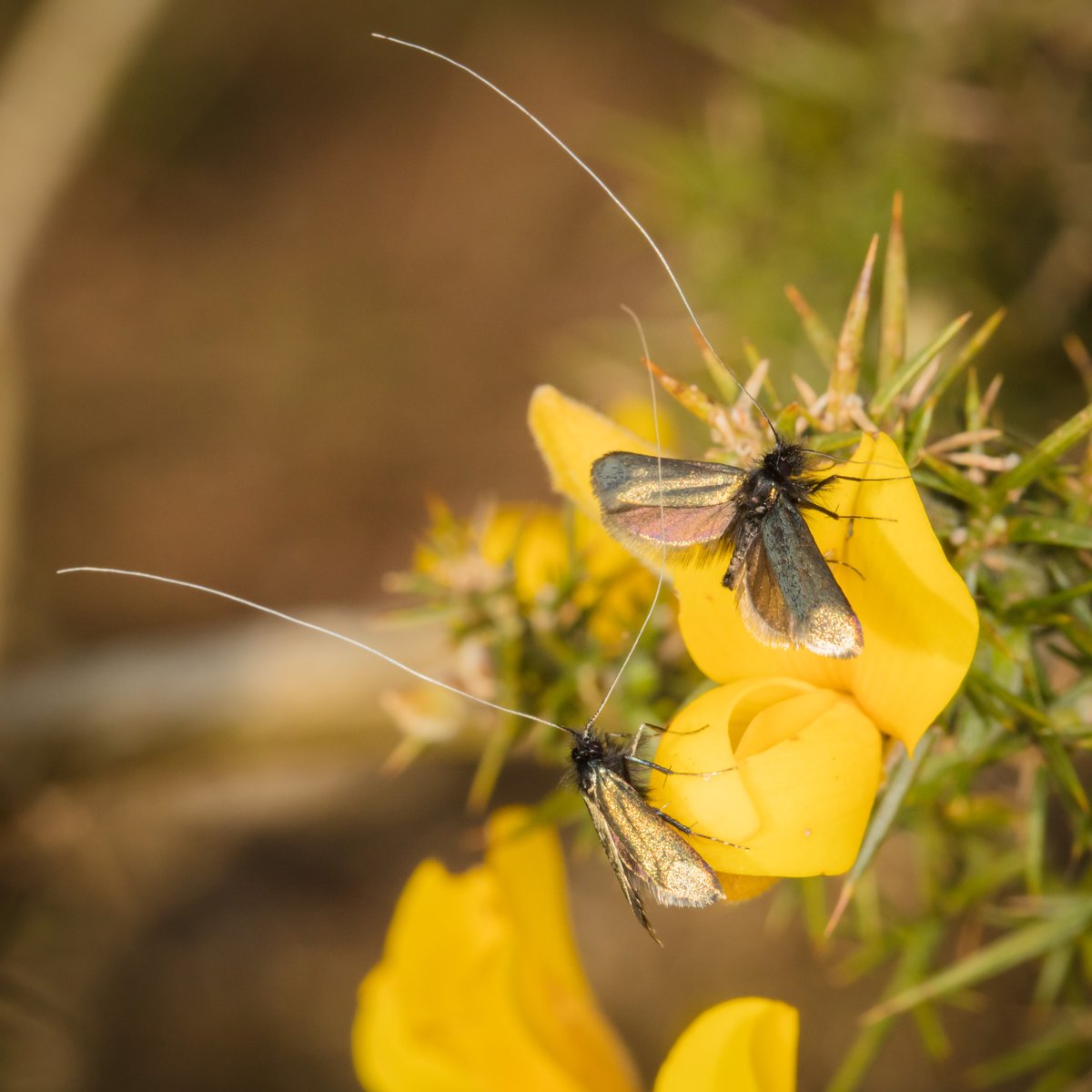 Martin Taylor tweet media