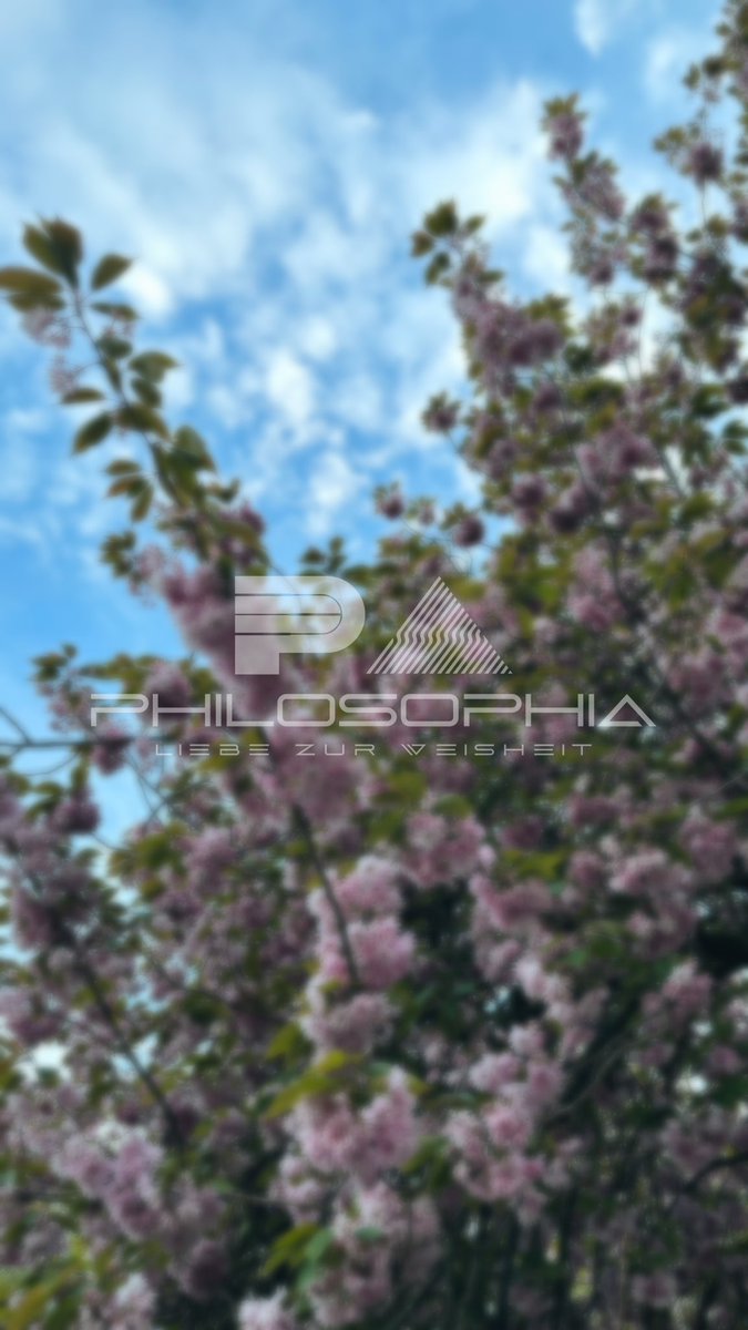AnsoChan's tweet photo. Ich liebe unser neues Logo 🤘🏻😈
Phil und ich nutzen meinen Account auf Twitch aber heißen jetzt Philosophia_de auf Twitch ! ��️ #newchannel #newname #twitchstreamer #TwitchDE https://t.co/o001NSpJoF