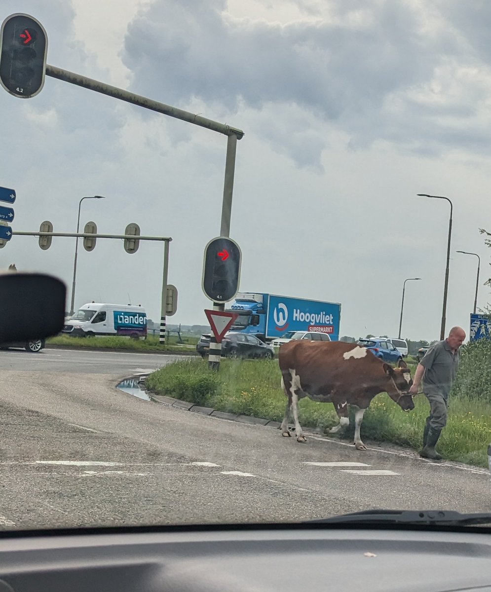 U laat hier uw koe uit, mag dat? #eindelijkweekend