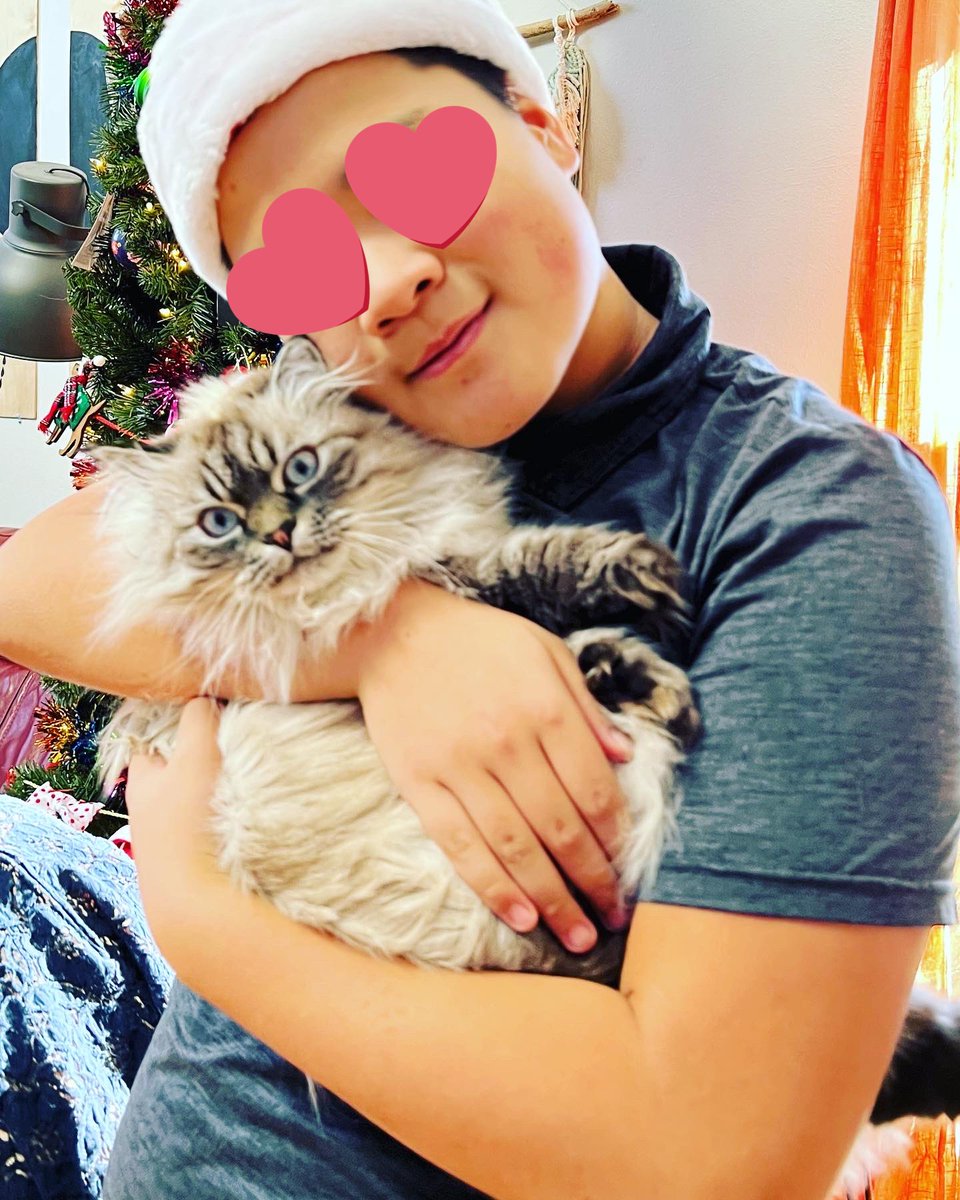 Anjali🤝Collab.Land tweet media