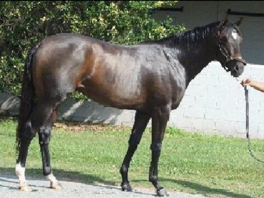 Pompton Craft House tweet media