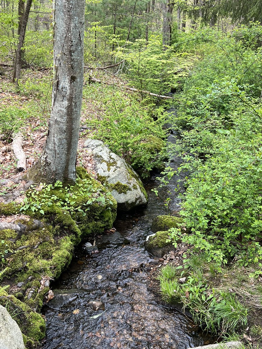 Junii (@akajunii) on Twitter photo 