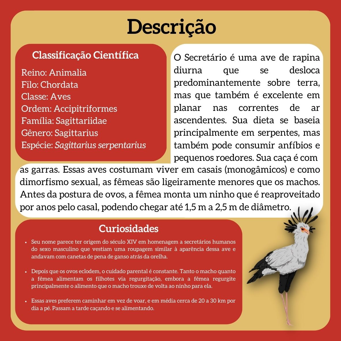 biodex_l's tweet photo. Secretário (Sagittarius serpentarius)

◾ No universo Pokémon, este organismo seria do tipo: Lutador 🔴| Terra 🟤

#biologia #natureza #ciencia #bio #meioambiente #ecologia #biodiversidade #zoologia #botanica #animais #biologo #pokemon #anime #animalia #sagittariusserpentarius https://t.co/M7coloz5bR