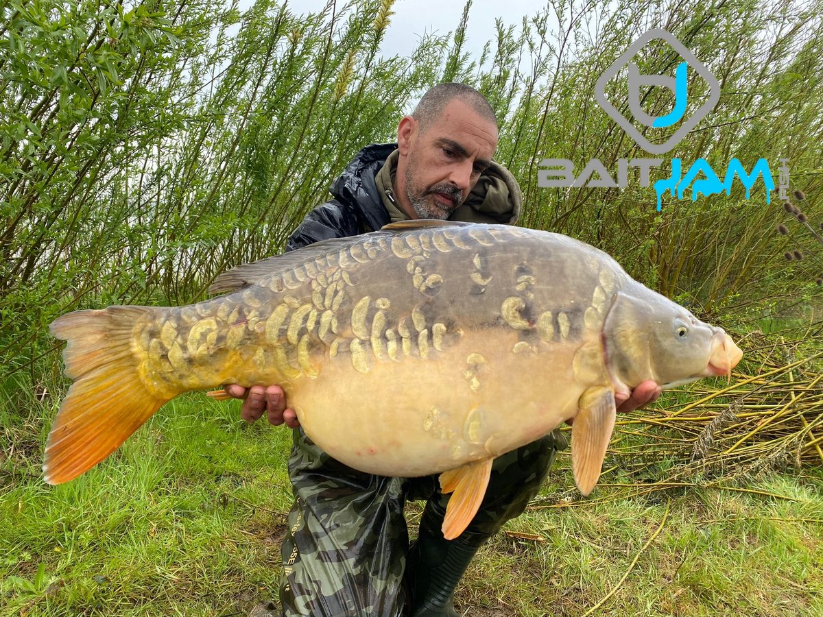 BaitJam's tweet photo. This stunning mirror was caught by Sal using our new fluoro pop ups in Berry Bite!

check them out here: https://t.co/PnxLQxccU7

#baitjam #teambaitjam #berrybite #fluoro #popups #carp #carpangling #carpfishing https://t.co/abNz4FC0kY