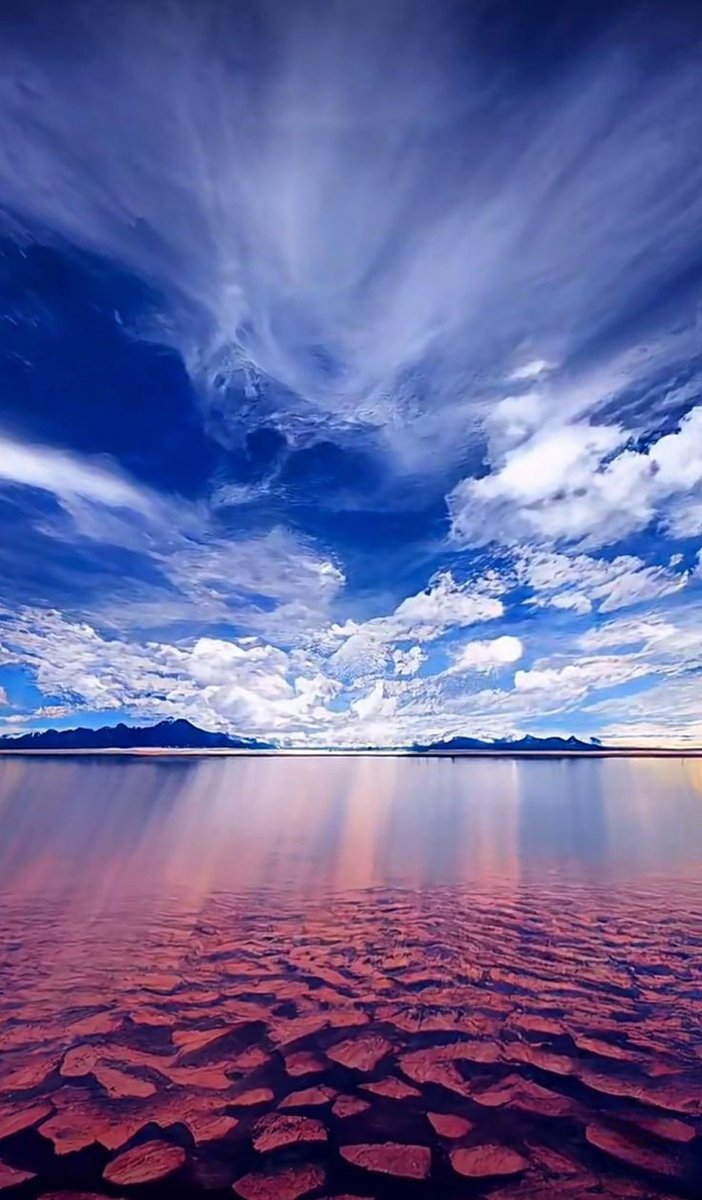 VieNatureSavoir's tweet photo. Good evening ✨✨✨✨💜 https://t.co/z05UXWv7ET