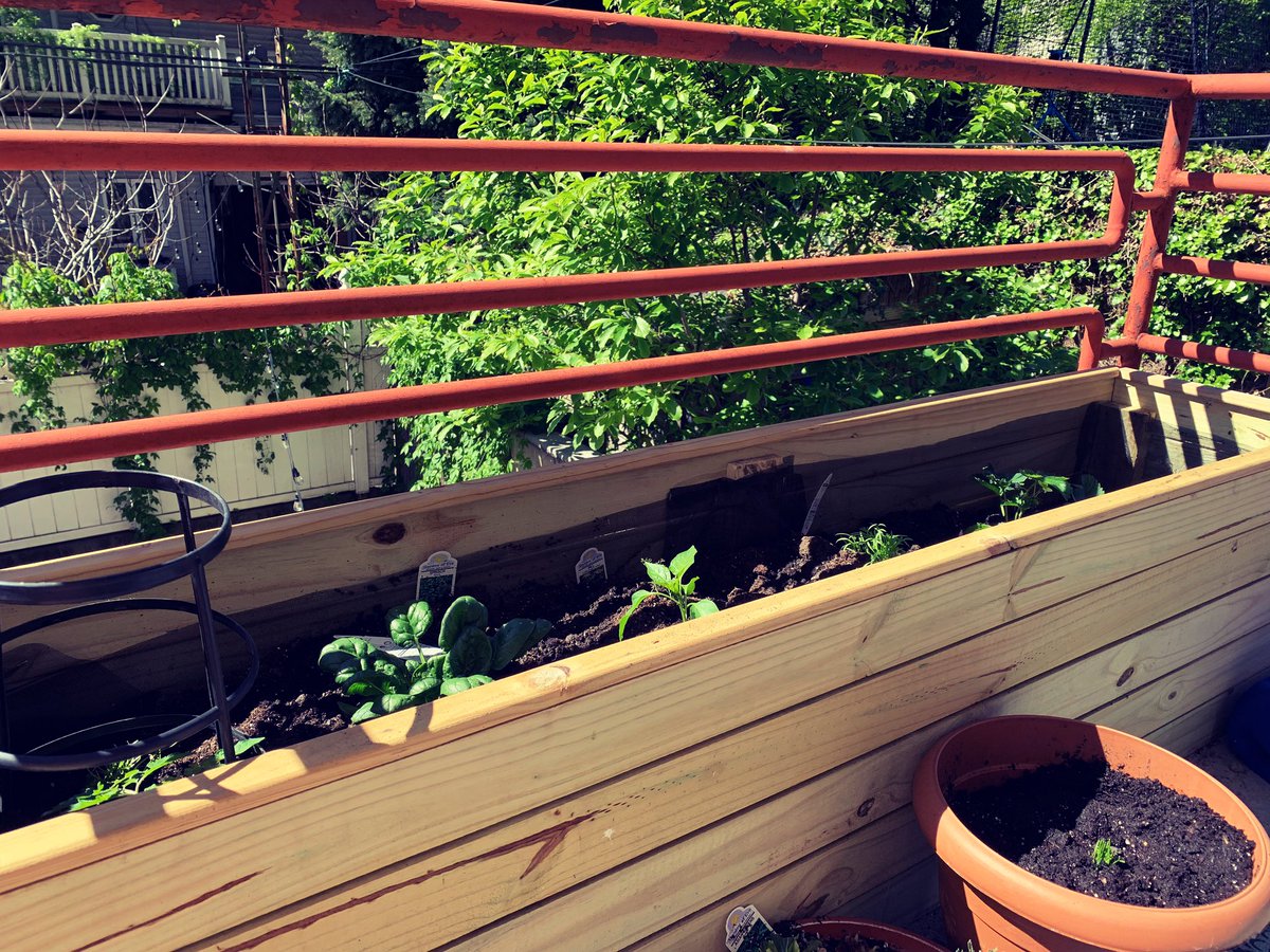 emwizzle's tweet photo. #growingthings thanks to a custom planter built by a neighbor. 🌱 https://t.co/Ti7I2yazL9