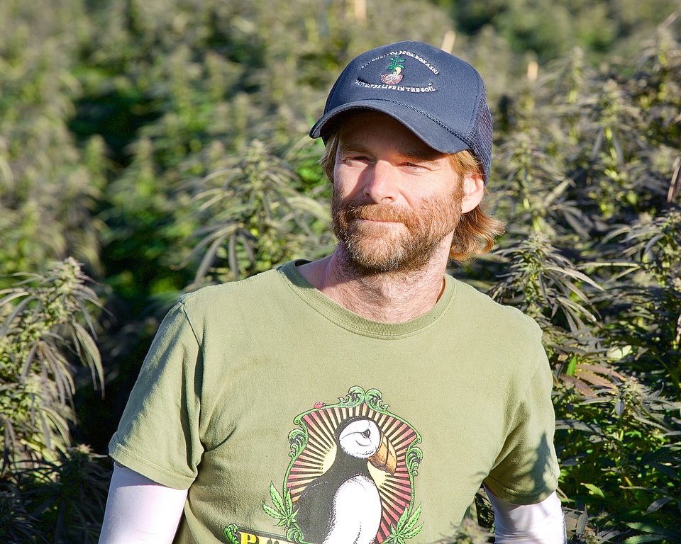 David Goodman tweet media