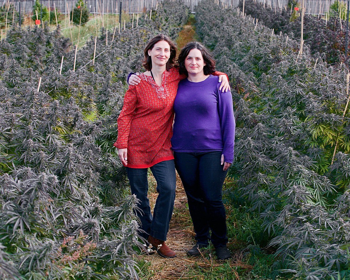 David Goodman tweet media