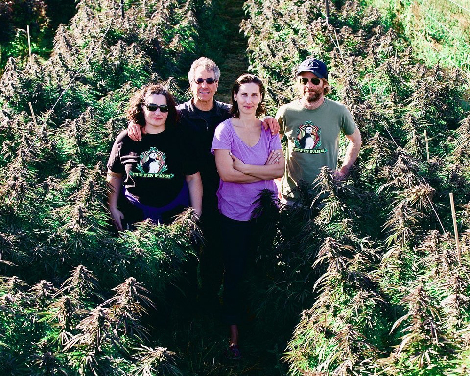 David Goodman tweet media