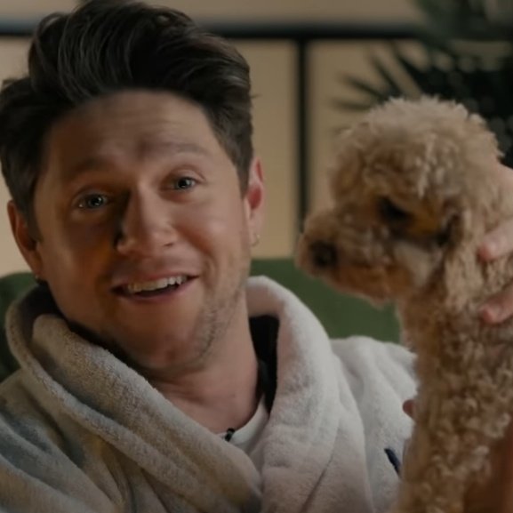 niallslover127's tweet photo. just how fast the night changes https://t.co/i4Ma8StmGK