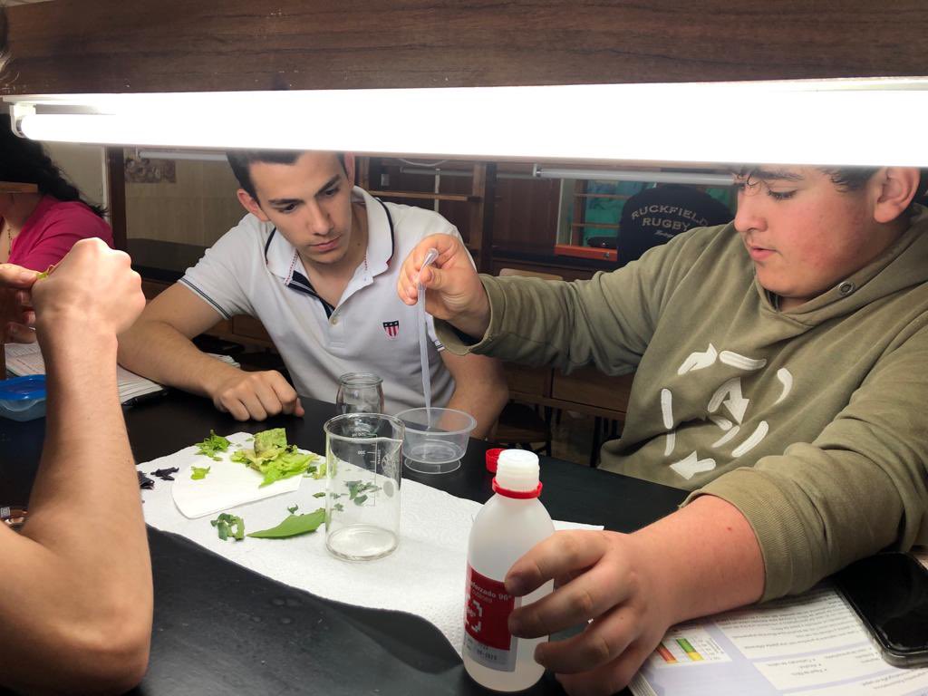 StaCeciliaCC's tweet photo. “Separación de pigmentos vegetales por cromatografia”.
¡Nos encantan las prácticas de Biología! #somosvedruna #aprenderesdivertido #clasespracticas #biologia https://t.co/NY5HiJLiH4