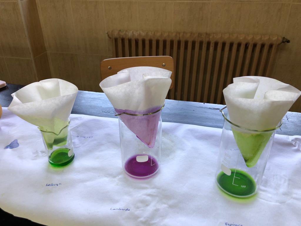 StaCeciliaCC's tweet photo. “Separación de pigmentos vegetales por cromatografia”.
¡Nos encantan las prácticas de Biología! #somosvedruna #aprenderesdivertido #clasespracticas #biologia https://t.co/NY5HiJLiH4