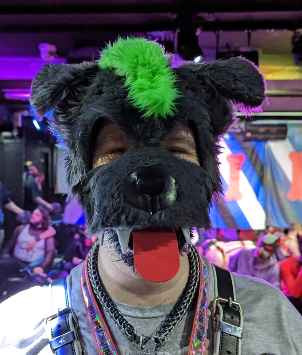 wruffstuff's tweet image. One happy @TroubleDoggo! #fluffStuff