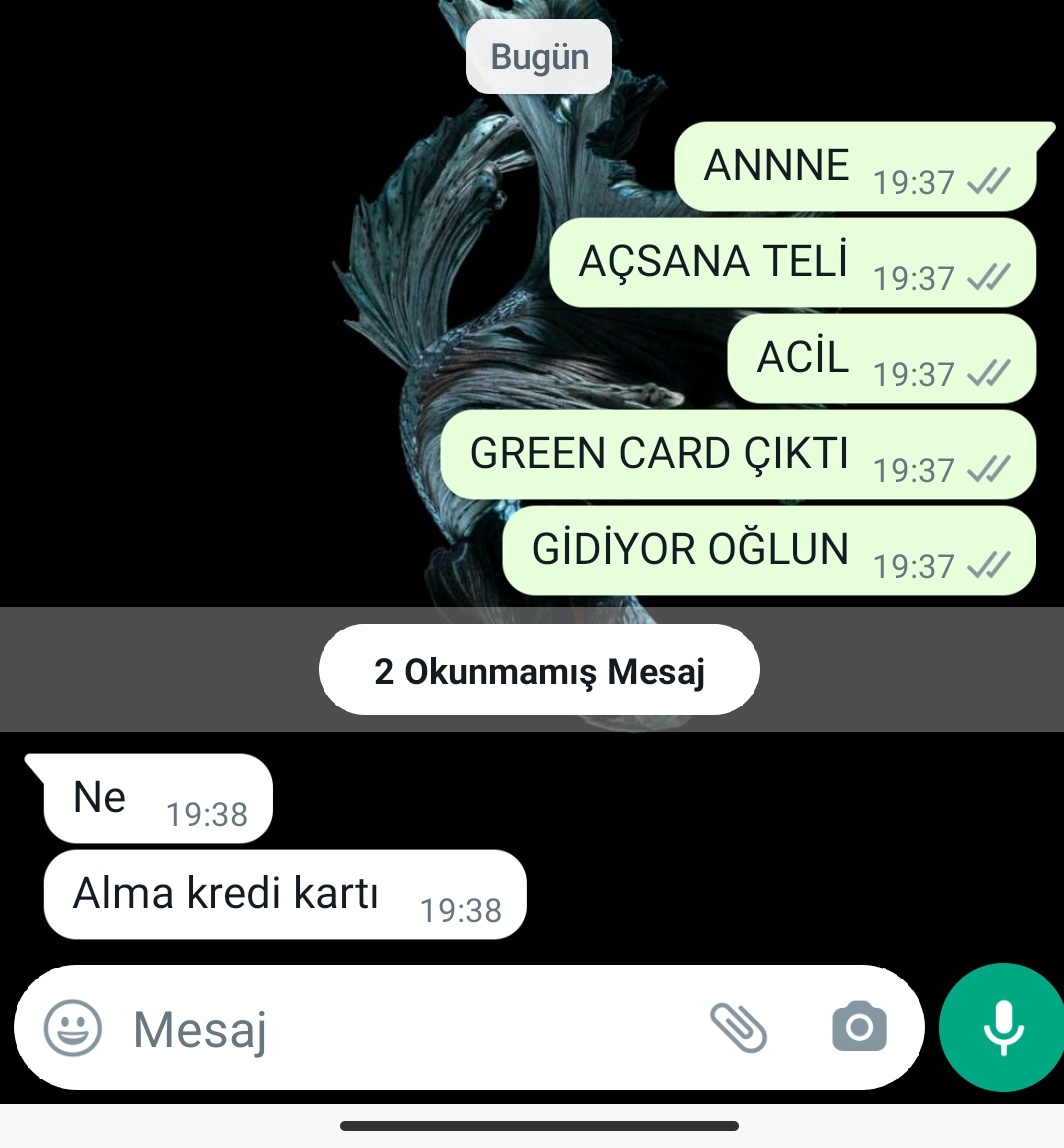 kanzi siz gidin ben gelmiyorum