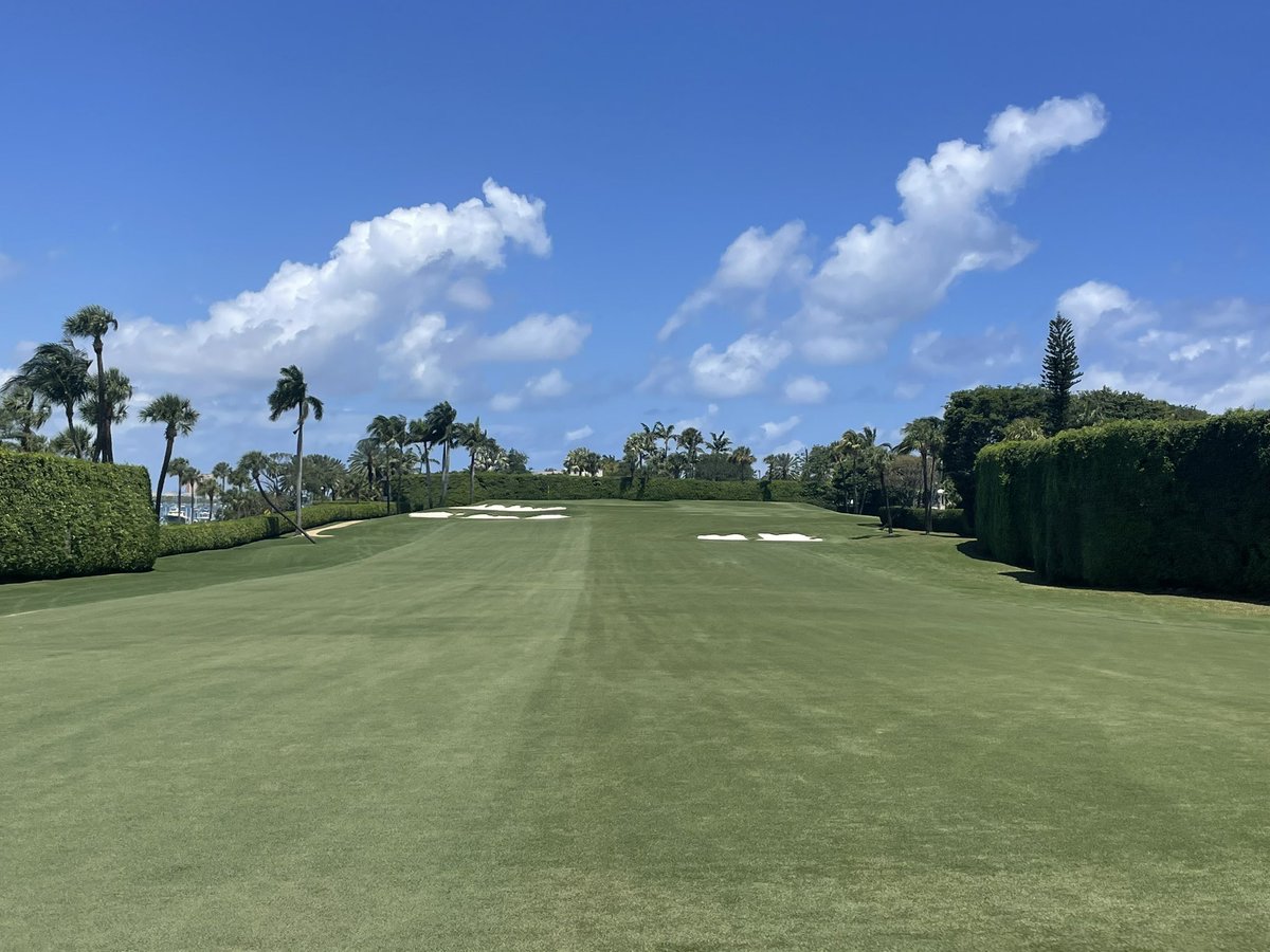 George Kervern (@georgekervern) on Twitter photo Palm Beach Country Club is looking to hire an assistant superintendent to join our unbelievably talented team! DM me if your interested, if not please spread the word. <a href="/PBGCSA/">Palm Beach GCSA</a> <a href="/FGCSA/">Florida GCSA</a> <a href="/AssistantsFGCSA/">FGCSA Assistants</a> <a href="/GCSAA/">GCSAA</a> Palm Beach Country Club is looking to hire an assistant superintendent to join our unbelievably talented team! DM me if your interested, if not please spread the word. <a href="/PBGCSA/">Palm Beach GCSA</a> <a href="/FGCSA/">Florida GCSA</a> <a href="/AssistantsFGCSA/">FGCSA Assistants</a> <a href="/GCSAA/">GCSAA</a>