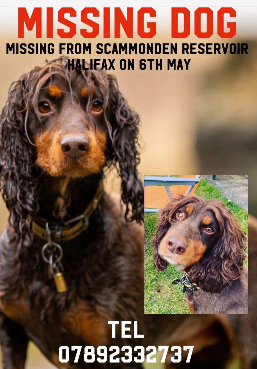 JohnDaffern2's tweet photo. #findJax #MissingOneYear
#neutered/#tagged/#microchipped
Adult Male Brown & Tan Cocker Spaniel With A Dock Tail
#Lost: 06/05/2022
#Scammondenreservoir #HD3 area
https://t.co/CFbPJDCXfb https://t.co/PgxQW5zBEJ