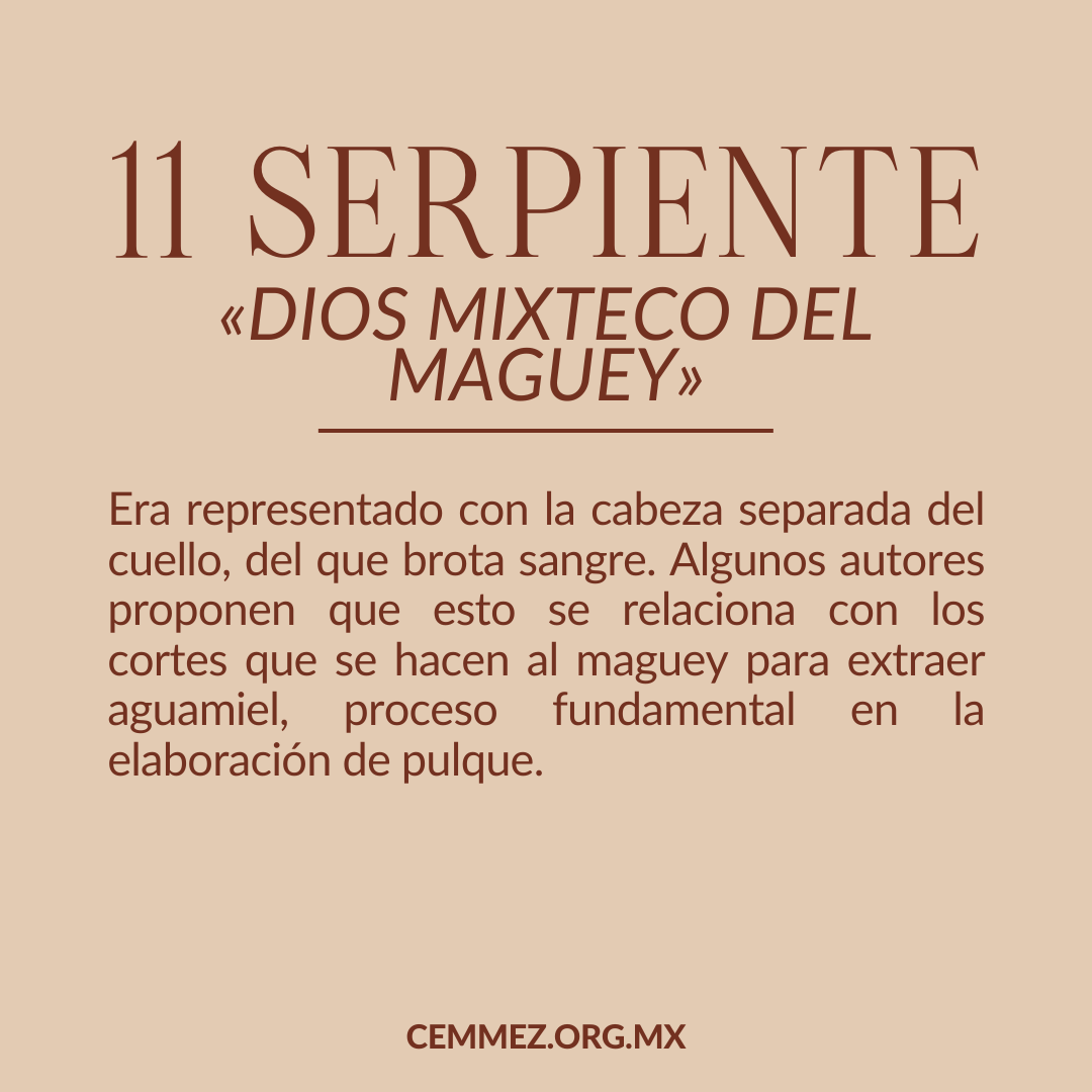 Cemmez_'s tweet photo. El Dios Mixteco del maguey. ¿Alguna vez habías escuchado sobre este nombre?

#mezcal #maguey #agave #culturadelmezcal #destiladosmexicanos  #cemmez https://t.co/6sdkygB65v