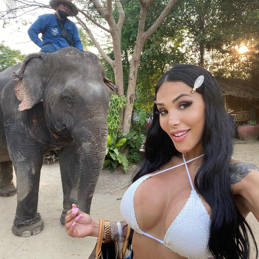 IsabellaSinigo's tweet photo. #brasileira in #Pattaya ,amo gli #elephants ,#garotasdeprograma #onlyfans https://t.co/6yrzMzP9A4