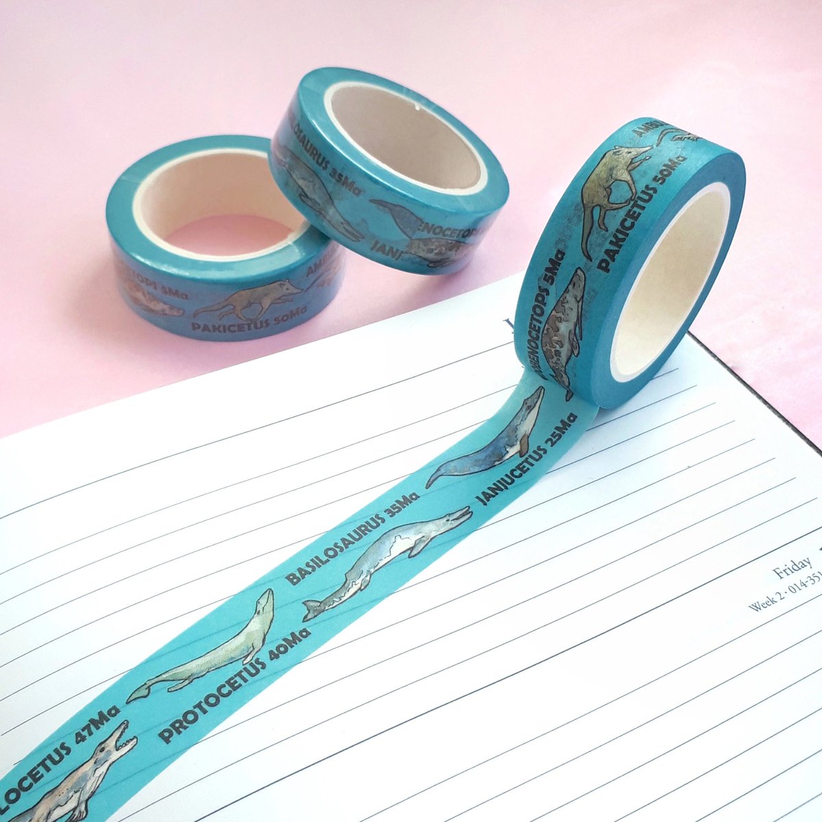 Apparently it's #AncientWhaleWeek so here are some bits I've done! I'm certainly no expert, but I have made an ancient whale washi tape! Which is available at pintofangrybees.com