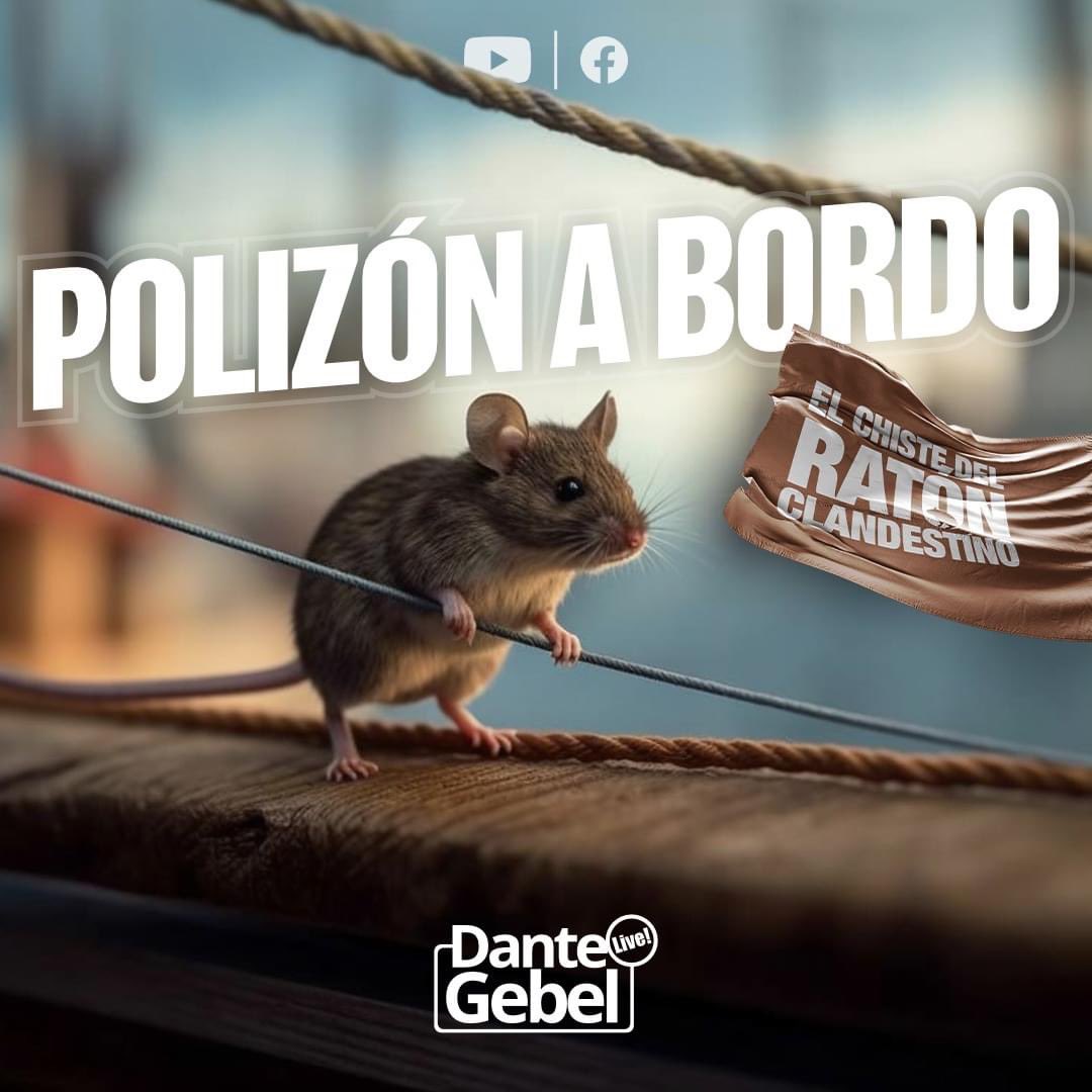 DanteGebelOk's tweet photo. ¡GRAN FIN DE SEMANA!
De regreso de Puerto Rico, hoy estrenamos la segunda temporada de La Divina Noche por El Nueve; y mañana un mensaje imperdible en River Arena, en nuestros dos servicios. ¡Qué lindo es hacer aquello para lo cual naciste! #LaDivinaNoche #RiverArena https://t.co/F37SYxXlGv