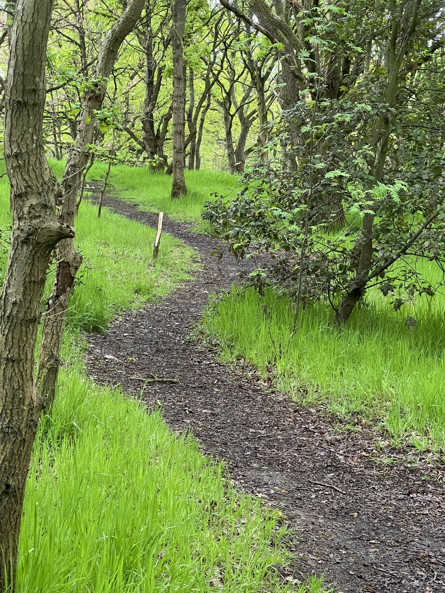 onthebrake's tweet photo. I had a heap of fun exploring the local trails today. First proper solo ride of the year. Much mud and smiles :)

Exciting for lots of riding this summer. Wet or dry I’m excited to be out and enjoying myself :) https://t.co/0XgFziax3i