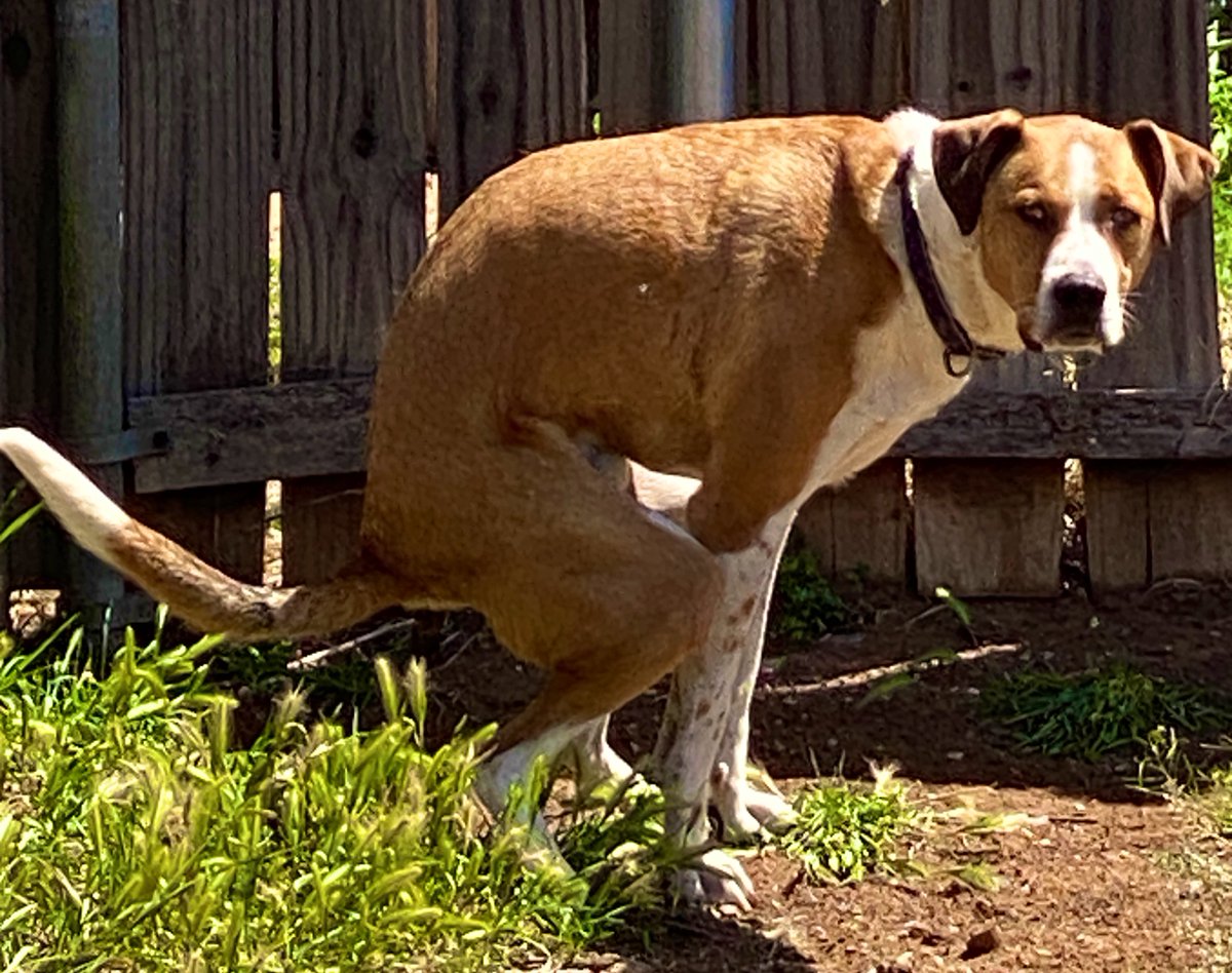 CATOSHISYNDICAT's tweet image. My role is marginalized/ my soul is fractionalized/ sold some to Satan/ but I’m heaven cent/ so why the fuck would I repent/ when I retain 51% #BARSISBACK