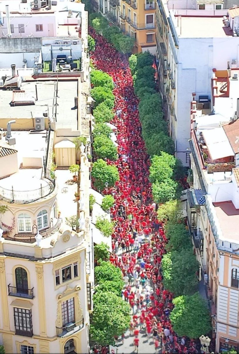 _AndySmith_'s tweet photo. Quiet weekend in Seville! Little did I know the #CopaDelRey was this weekend... R Madrid Vs Osasuna.... It's bedlam 😂 https://t.co/AExNuPaq2d