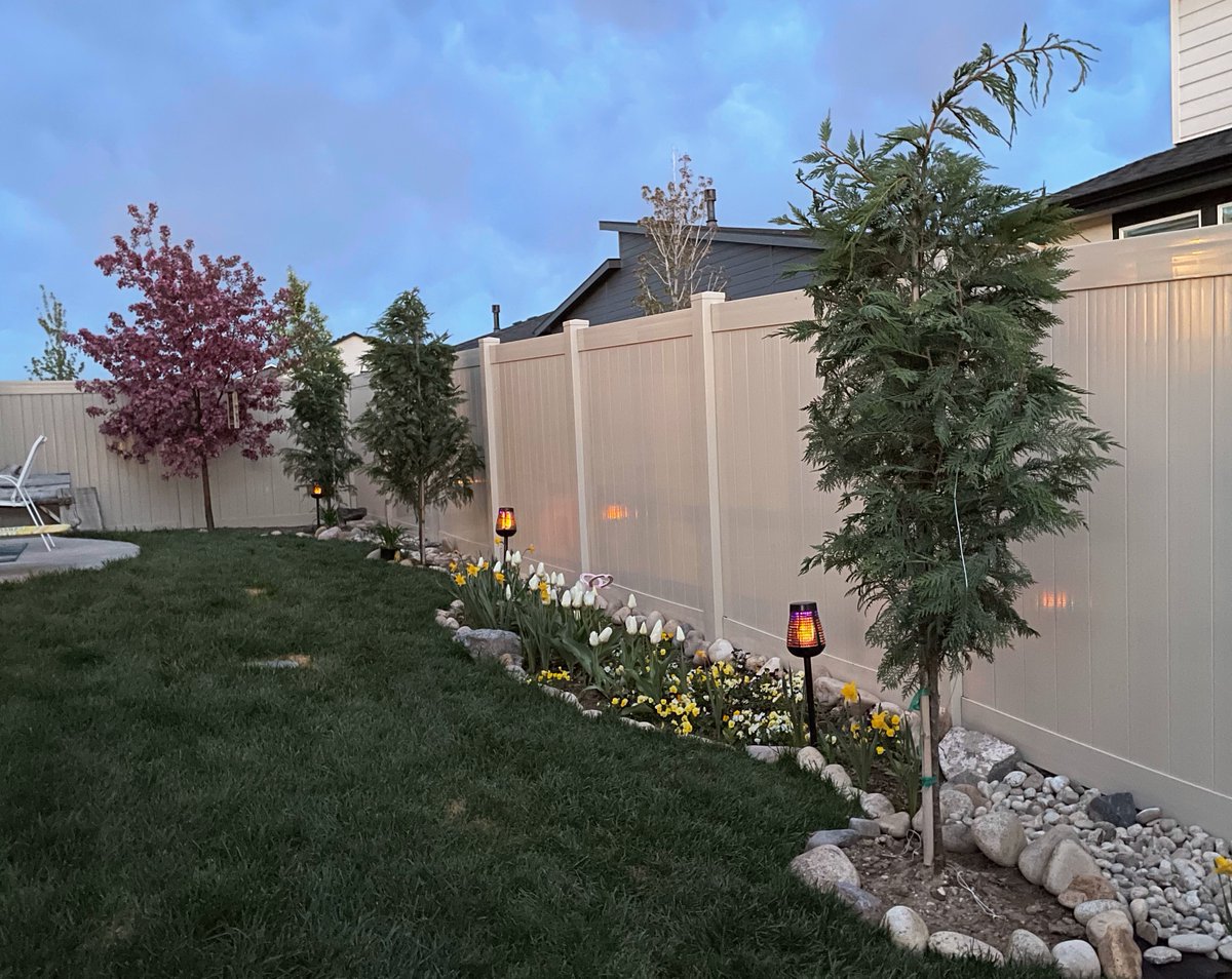 skipperfreddy's tweet image. Prepping my yard for summer nights with these killer tiki torches that keep the bugs in line. I've had the same ones for 3 summers now, still glowing strong. amzn.to/3B0nmNV #ad #tiki #hometikibar #gardendecor #themeparklife #kunaland