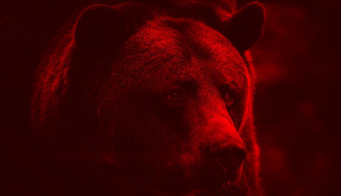 SocEngineerInc's tweet photo. Russian Hacker Group Targets Ukraine
#socialengineerllc #phishing #hackergroup #security #socialengineering

https://t.co/BbxFPgpvtG https://t.co/OqwvpB70vH